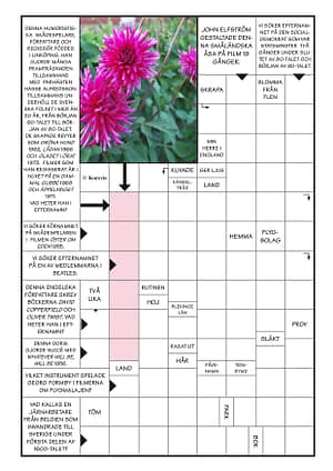 dahlia nostalgikorsord