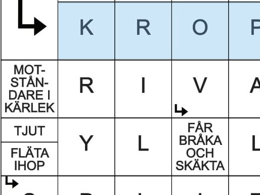 korsord-med stor-stil